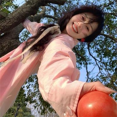 案中案