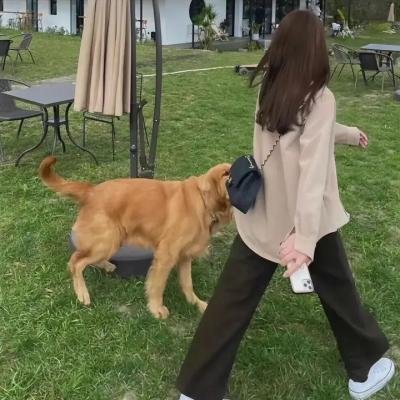 遇见波莉